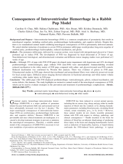 Consequences of Intraventricular Hemorrhage in a Rabbit