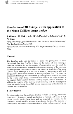 Simulation of 3D fluid jets with application to the Muon