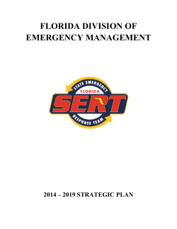 2014-2019 FDEM Strategic Plan