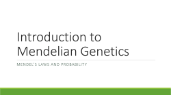 Intro to Mendelian Genetics