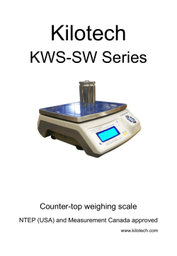 HIGH PRECISION COUNTING SCALE
