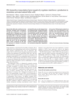 Hlx homeobox transcription factor negatively