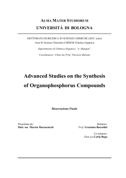 Advanced Studies on the Synthesis of