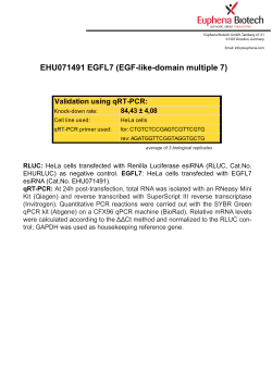 EHU071491 EGFL7 (EGF-like-domain multiple 7)