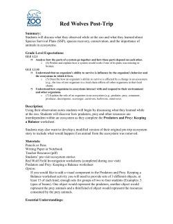 Post-Visit Activities