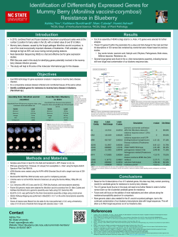 Genigraphics Research Poster Template 48x36