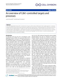 An overview of Cdk1-controlled targets and processes