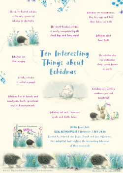 Millie Loves Ants poster