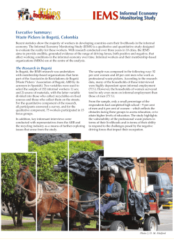 Executive Summary: Waste Pickers in Bogotá, Colombia