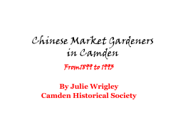 Chinese Market Gardeners in Camden