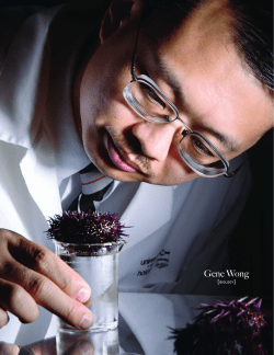 Dr. Wong`s research on sea urchins - Phi Sigma Biological Sciences