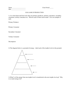 Elk Game Introduction Worksheet