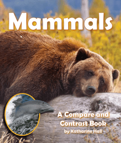 Mammals - Arbordale Publishing