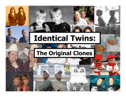 Identical Twins - mrzimmerman.org