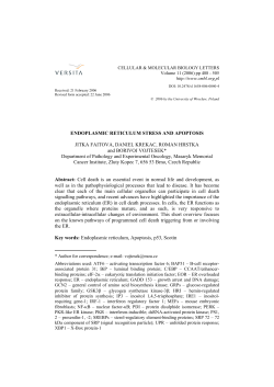 Endoplasmic reticulum stress and apoptosis