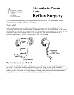 Ureteroneocystostomy - LUMEN ICON Loyola University Medical
