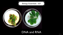 Biology Essentials - 027
