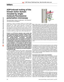 molecule fluorescence polarization microscopy - ENS-phys