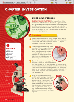 Using a Microscope