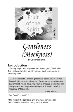Gentleness (Meekness) - Mount Calvary Baptist Church