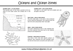 Oceans and Ocean zones - Kids Puzzles and Games
