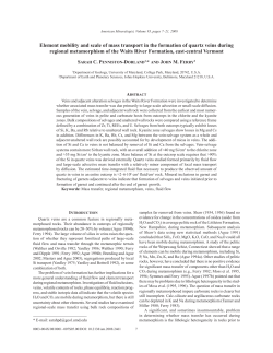 Element mobility and scale of mass transport in the formation of