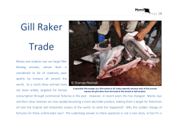 Gill Raker Trade
