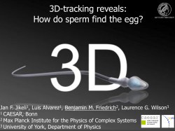 3D-tracking reveals: How do sperm find the egg?