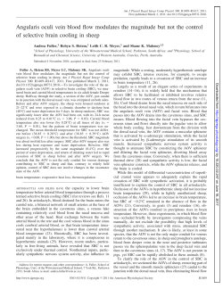 Angularis oculi vein blood flow modulates the magnitude but not the