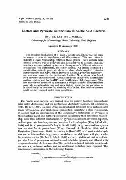 Lactate and Pyruvate Catabolism in Acetic Acid