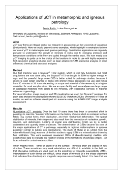 Applications of &micro;CT in metamorphic and igneous petrology