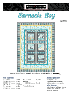 Barnacle Bay - Studio E Fabrics