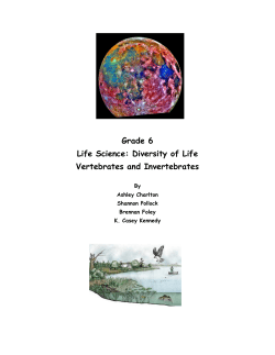 Grade 6 Life Science: Diversity of Life Vertebrates and Invertebrates