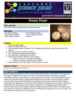 Potato Power
