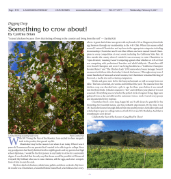 Lamorinda Weekly issue 25 volume 10