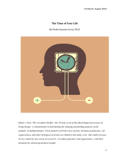 Article as PDF