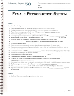 FEMALE REPRODUCTIVE SYSTEM