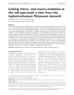 Linking micro- and macro-evolution at the cell type level: a view from