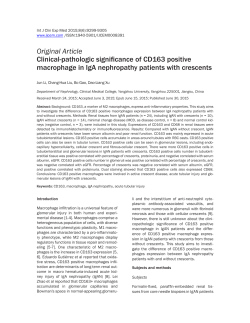 Clinical-pathologic significance of CD163 positive macrophage in