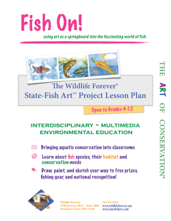 Lesson Plan: Fish On!