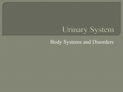 Body Systems and Disorders