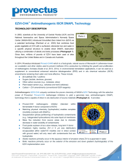 EZVI-CH4 Technical Data Sheet - Provectus Environmental Products