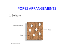 PORES ARRANGEMENTS