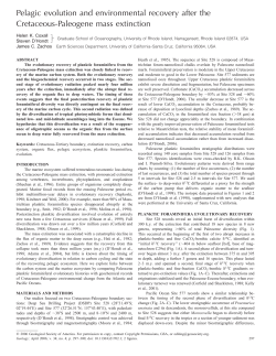 Pelagic evolution and environmental recovery after the Cretaceous