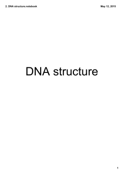 2. DNA structure.notebook