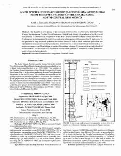 A new species of Desmatosuchus (Archosauria