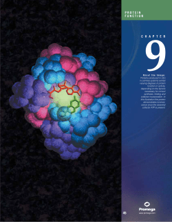 Protein Function