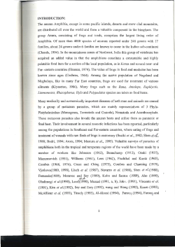 among the populations in Southeast and Far