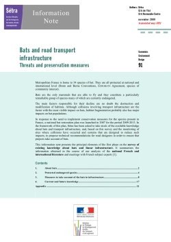 Bats and road transport infrastructure