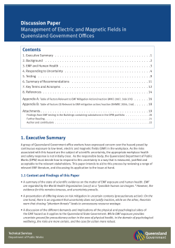 Discussion Paper Management of Electric and Magnetic Fields in